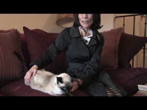 Cat Care & Behavior : Feral Cat Behavior