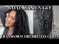 WINTER WASH N GO ROUTINE 2024 | 8 DAY WASH N GO! TRANSFORM DRY BRITTLE CURLS