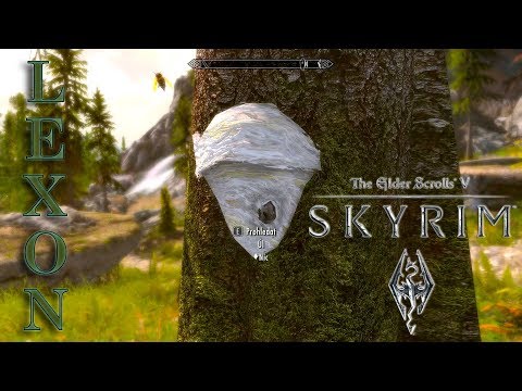 Bylo-li by libo "The Elder Scrolls V: Skyrim Special Edition" CZ?