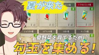 【ほの暮しの庭】夏が来た!夏野菜が欲しい【雑談】