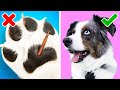 Robby Tries 24 GENIUS HACKS FOR SMART PET OWNERS by 5-MinuteCrafts