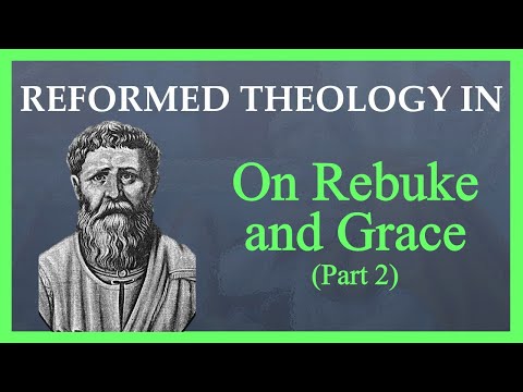 Augustine's Contributions to Protestant Soteriology | Reformed Theology in On Rebuke and Grace Pt. 2