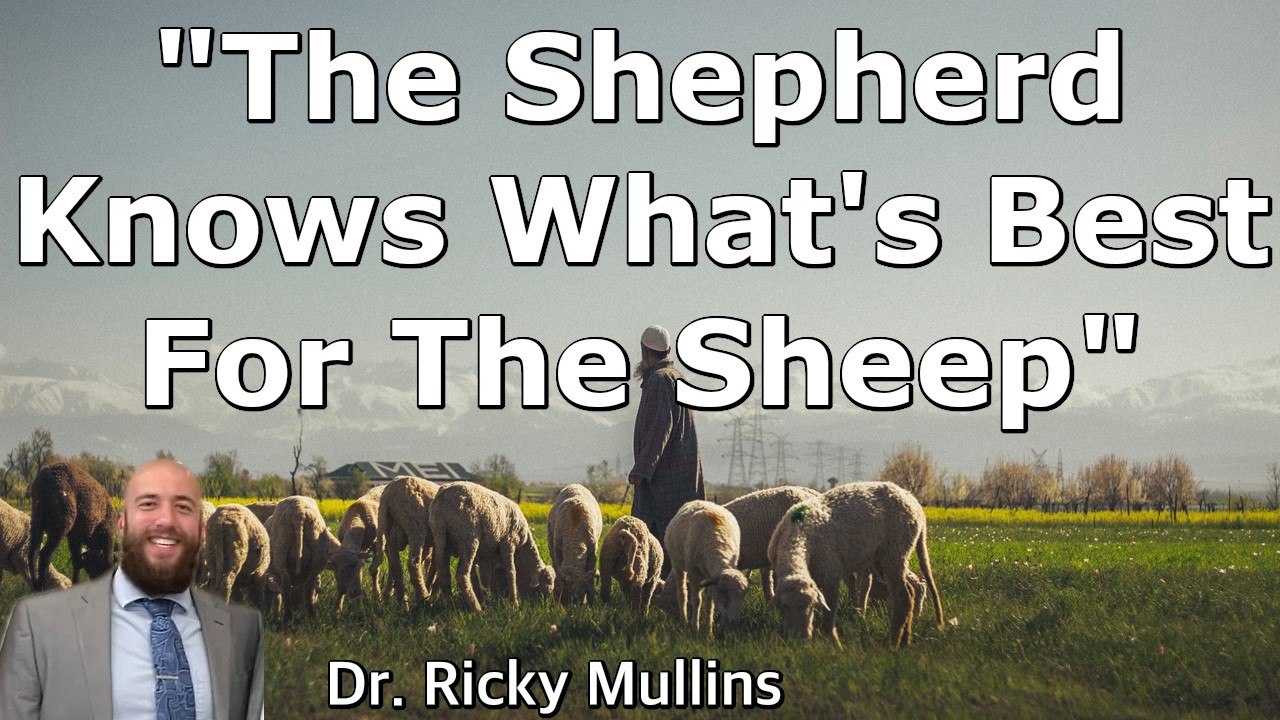 The Shepherd Knows What's Best For The Sheep