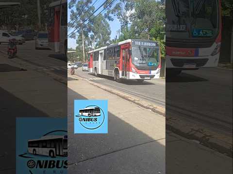 Ônibus da Suzantur em Eldorado um lugar bem diferente nem parece São Paulo