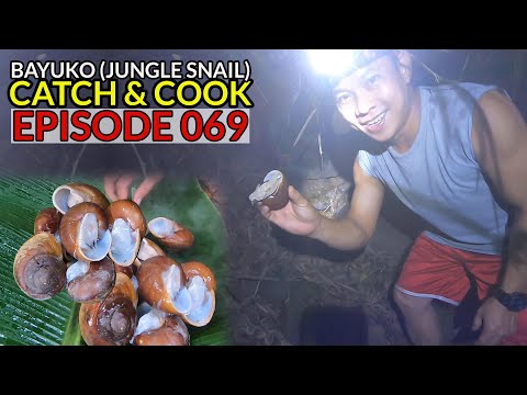 Part3 - Pangunguha ng BAYUKO or Jungle Snail sa Bundok (Night Hunting) San Pablo City, Laguna