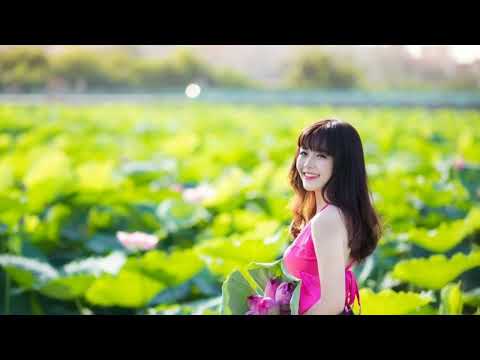 Một đoá sen hồng - Lê Quang Ngọc