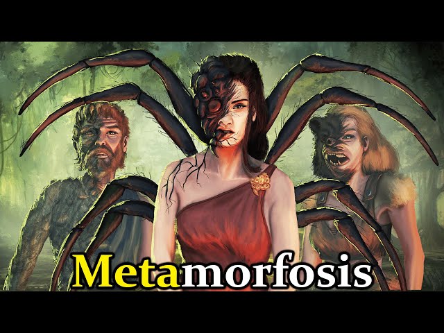 Vídeo relacionado con Las metamorfosis de Ovidio, libros VIII-XV (traducción)