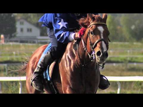 Øvrevoll Galoppbane