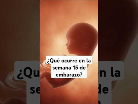 🤔 What happens in week 15 of pregnancy? 🤰 Symptoms and baby development