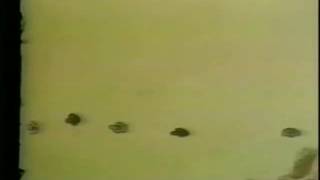 The Letter People TV 20 The Story of Mister V and Mister S