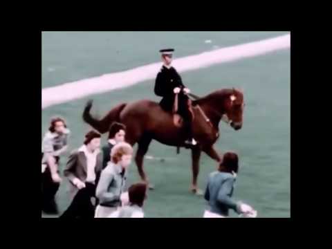 SLAUGHTER & THE DOGS - Where Have All The Boot Boys Gone