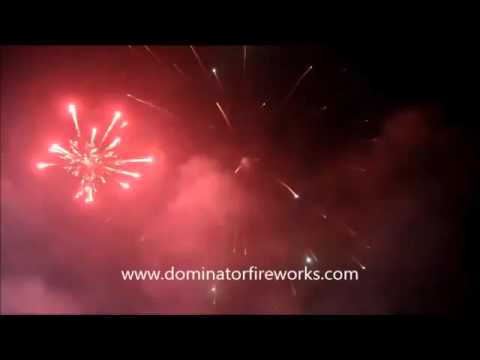 1.4G FIREWORKS: GIANT WILLOW WITH COLOR TIPS DM592 3" 9 SHOT