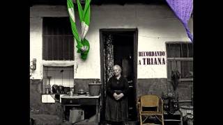 Pájaro - "Del Crepúsculo Lento Nacerá El Rocío"