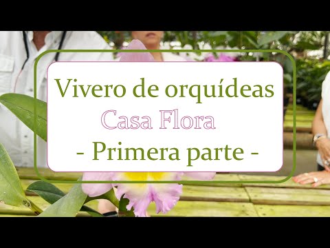 Vivero de orquídeas, Casa Flora | Alma del Bosque - Parte 1