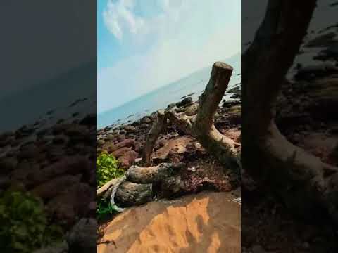 Serene....💙 #calmmusic #nature #beautiful #beach #beats #alishachinai #soothing #xafarshakeel