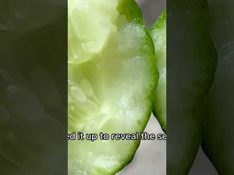 I Spent 3 Years Growing Cucumbers Into Shapes. This Is The Evolution.