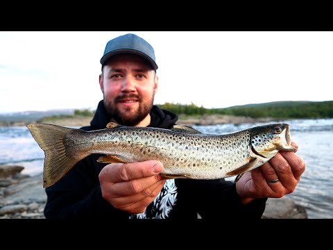 YÖKALASSA TAIMENKOSKILLA - KALASSA JUHANNUKSENA