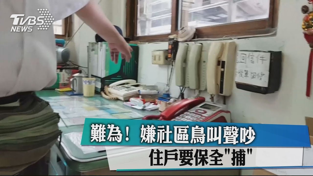 難為!嫌社區鳥叫聲吵 住戶要保全「捕」
