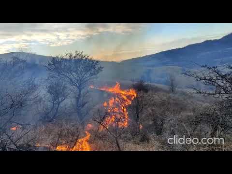 Incendiu Beceni 2022