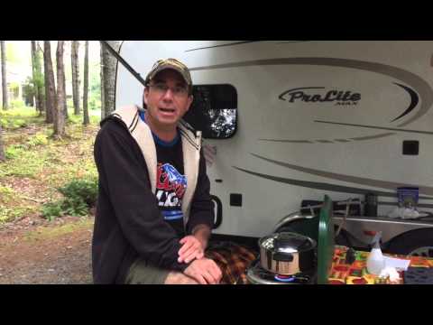 download lagu mp3 mp4 How To Keep Wasps Away From Campsite, download lagu How To Keep Wasps Away From Campsite gratis, unduh video klip How To Keep Wasps Away From Campsite