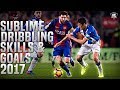 Lionel Messi - Sublime Dribbling Skills & Goals 2017 (HD)