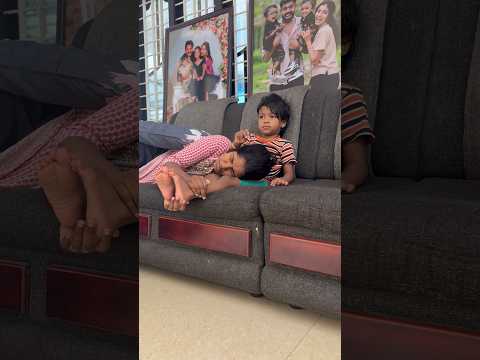 ഈ സമയത്ത് പട്ടിടെ മുഖത്ത് പൂച്ചയെ പിടിച്ചിട്ട സ്വഭാവം ആണ് 😡🥵