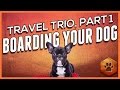 See How to Find a Dog Boarding Facility - Holiday Pet Travel (1 of 3)