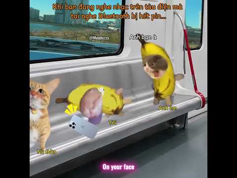 Khi bạn đang nghe nhạc trên tàu mà tai nghe bị hết pin #meme #catmeme #cat