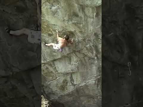 8b free solo
