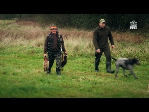 Darz Bór odc 118 - Hubertus Spalski 2014 cz.2