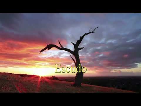 Fondos para búsqueda del ESPIRITU SANTO (Cover) Filipe Henriques