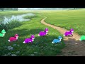 The Fox Cubs Adventure Song Fun Kids Song Nursery Rhyme
