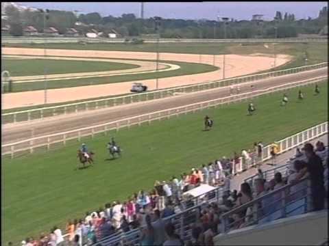 Kincsem park pónigalopp 2012