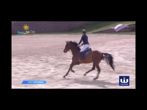 Janka Krasovec   Charming Dream   San Giovanni in Marignano