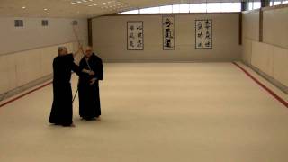 5. Gyakute Tsuki