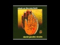 David Jacobs-Strain "River Was Green"