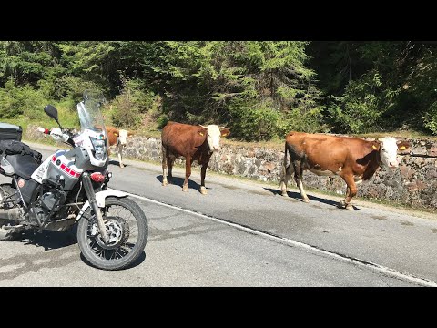 Moto Tours - Trans Apuseni, traseu Complet Rachitele - Padis -Pietroasa