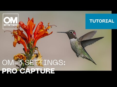 OM-1 & OM-1 Mark II Settings: Pro Capture