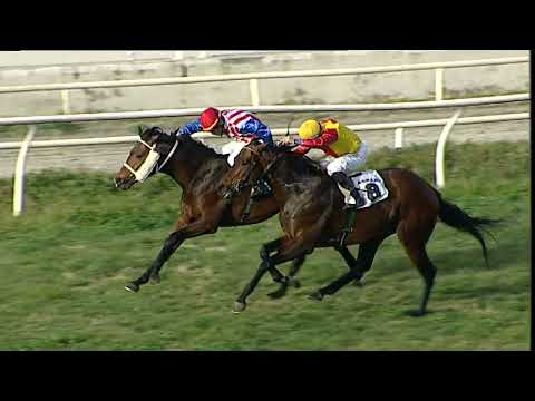 Napoli Galoppo 09/03/2023 - 4ª corsa