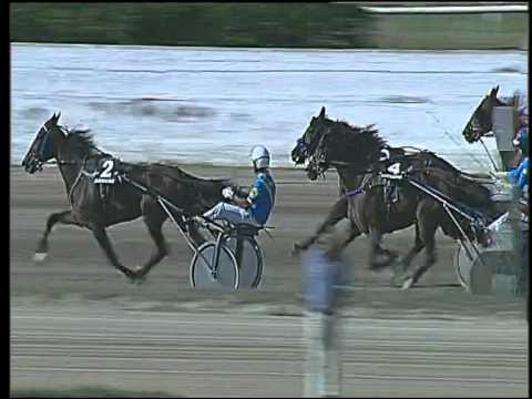 Trotto 17/09/2015 - 3° corsa