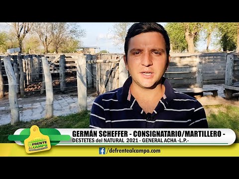 GERMAN SCHEFFER -MARTILLERO -