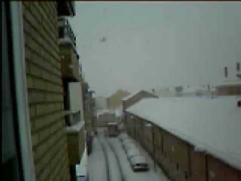 Nevada en Mejorada del Campo 09/01/09