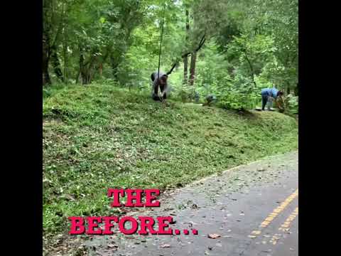 RCSV + Rotaract Greenway
