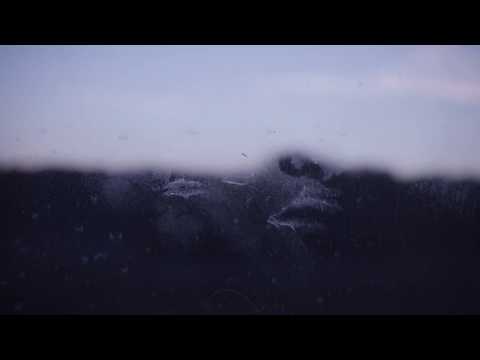 No Data Plan - Trailer | IFFR 2019