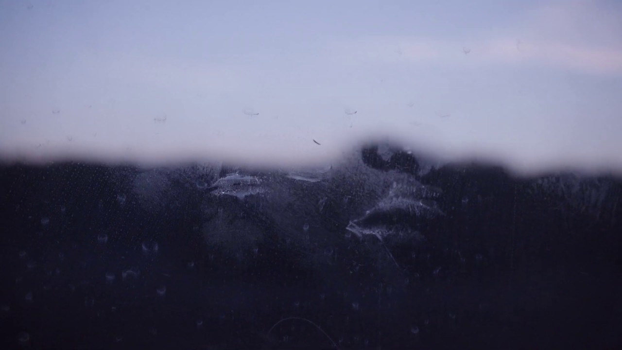 No Data Plan - Trailer | IFFR 2019