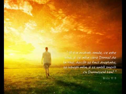 LUPTA CU FIREA PAMANTEASCA - partea 1/3Charles Stanley.AVI