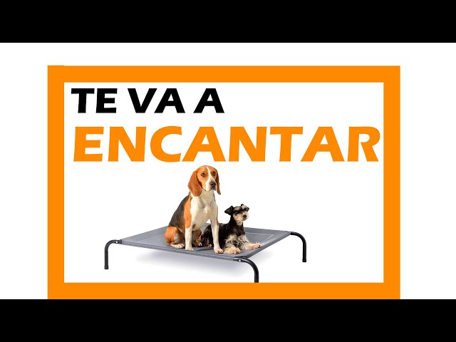 Vídeo relacionado con Amazon Basics Cama para perros, elevada refrescante para mascotas, tela, Medium, Gris, 110 x 65 x 19 cm (L x An x Al)
