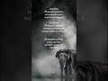 Sheriya Song Lyrics In Malayalam Sheriya Song Trending Lyrics ARJN KDS RONN Lyrics