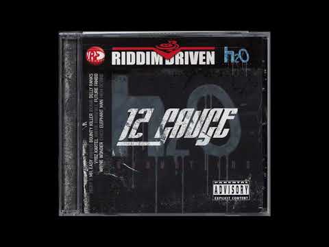 12 Gauge Riddim Mix (2007) By DJ WOLFPAK