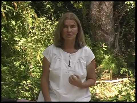 Safi Nidiaye: Stress